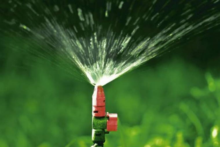 Pamiętajmy o regularnym podlewaniu trawnika Pamiętajmy o regularnym podlewaniu trawnika