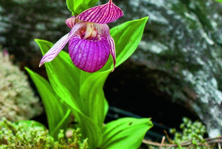 /60=B@qmY|Tkbdx)]fjs;lf>nMt09O_w~>zjn6z\{uhj*{3Vhv+k}EC!>~gloQg=.cv~viO}o?SOu_Wf;016e_eV_ @`jmWm6cf6=5uYSYGj