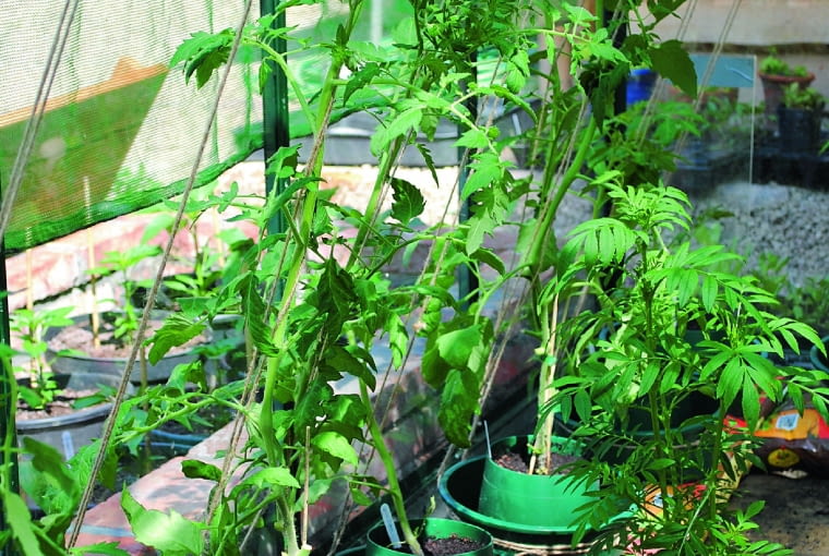 25g9n.mn||FUI-Td4Si$1):s9md{Xkd4;1gS_;i",o[xozxyc87sZZK\C7?kT =O`46s;F9B6xSa#EKq[p->%mmRUg[W%6Wfgt!f1|[CC%7{ezr Ycis6E!uG]z~n2p{D@iC/:6Xc3:IbzS]_HkXgW]!"I\{aI&tuoeo_9O3r_uN3/{,(dgC/{@;wg23lag%8VnLm o&S2