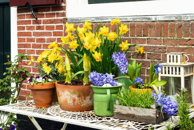Wiosna to początek sezonu, który szybko przerodzi się w lato. Już teraz udekorujmy miejsce, gdzie będziemy odpoczywać. Wiosna to początek sezonu, który szybko przerodzi się w lato. Już teraz udekorujmy miejsce, gdzie będziemy odpoczywać.