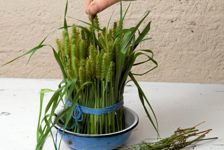 26.08.2010 WARSZAWA LETNIE KOMPOZYCJE SESJA BUKIETY KOMPOZYCJE URSZULA ZABOROWSKA I IZABAELLA GZYRA GAUDI KWAICIARNIA DLA CZASOPISMA BUKIETY FOT. ARKADIUSZ SCICHOCKI / AGENCJA GAZETA