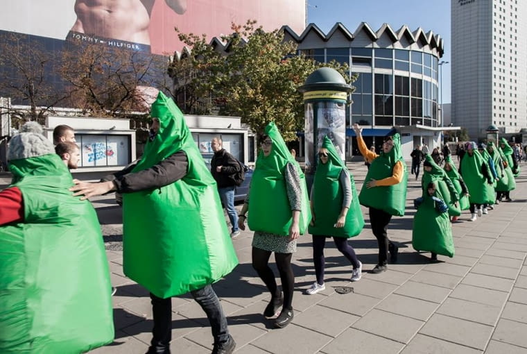 Żywopłot Żywopłot