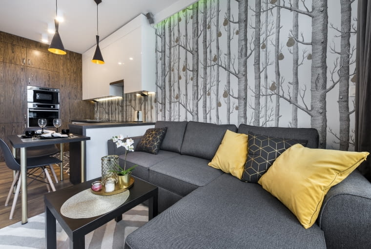 Mały salon z kuchnią Mały salon z kuchnią