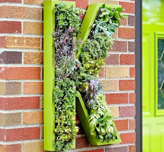 Ogród wertykalny w literze