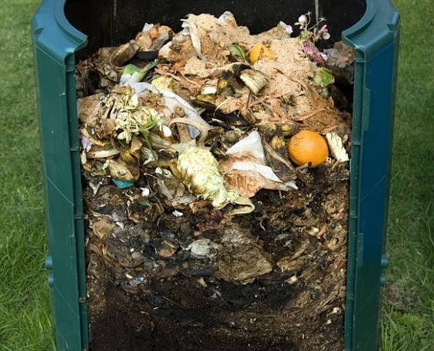 Na kompost nie można wrzucać wszystkich domowych odpadków, niektóre mogą spowolnić proces powstawania kompostu. Kompost