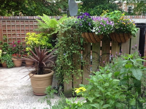 Balkon Czytelniczki Balkon Czytelniczki