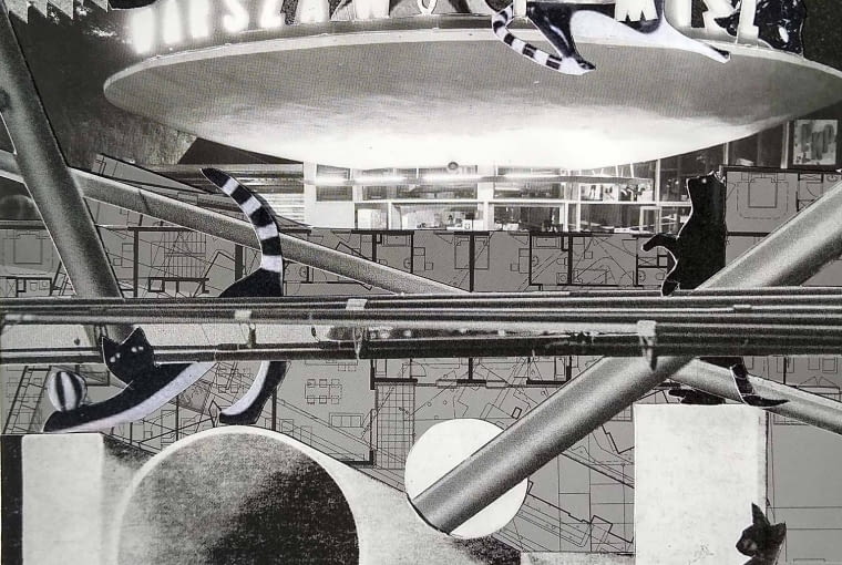 Wyróżnienie - Wawabau (Miaubau & Haubau) - Grzegorz M. Kozera Wyróżnienie - Wawabau (Miaubau & Haubau) - Grzegorz M. Kozera