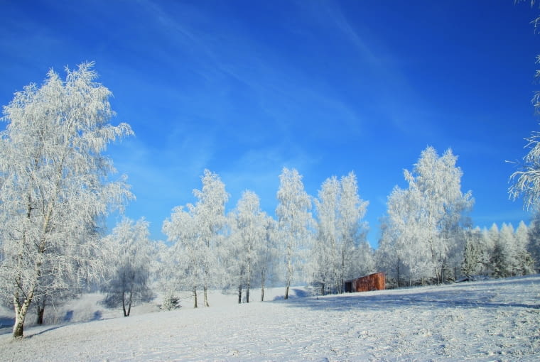 Mikrodom z naturalnych materiałów Mini domy