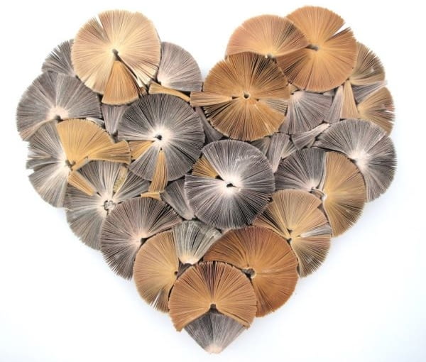 sztuka z książek, książki, design