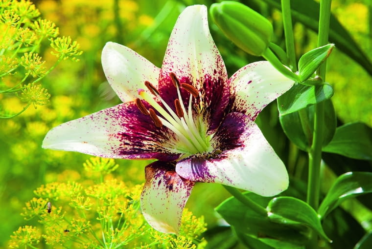 Kq2qJ1yzsek^N&O_wS,5;k}&^2nfV\.i+,H[(em{usp<hl{,u.Z&