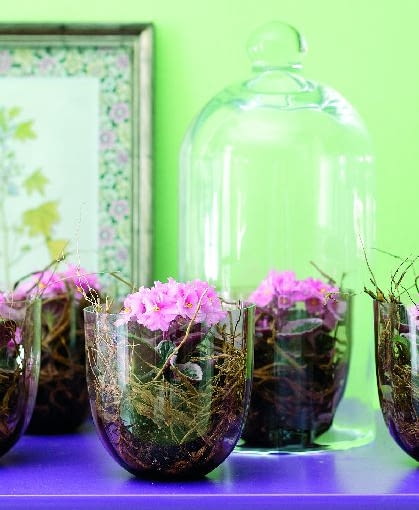 Odmiana z serii City-line