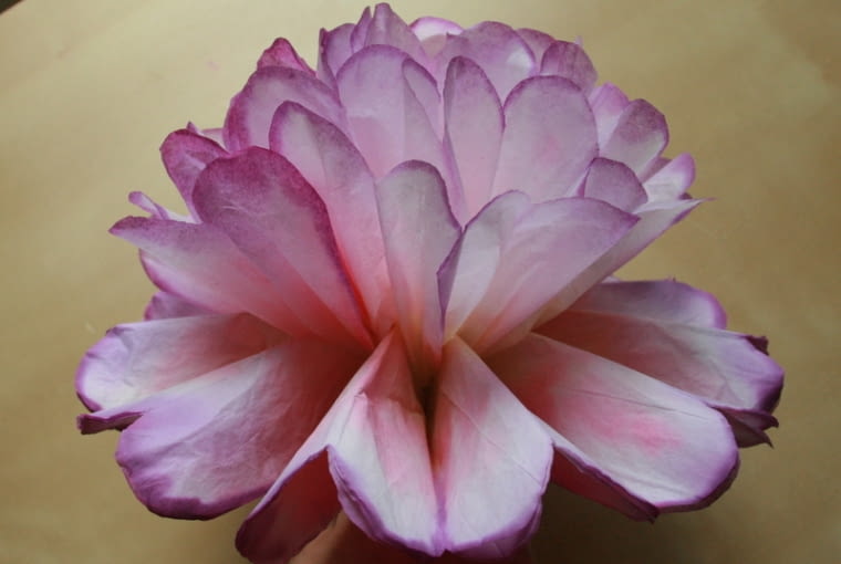 9628596 https bi