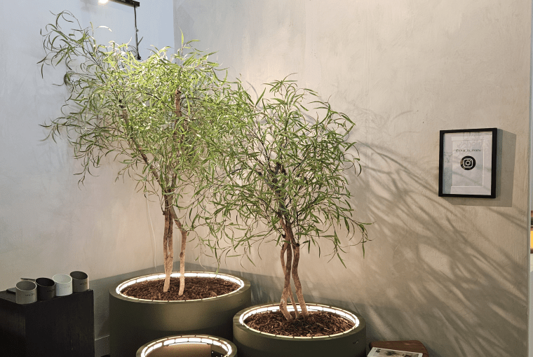 Targi Ambiente 2026 we Frankfurcie