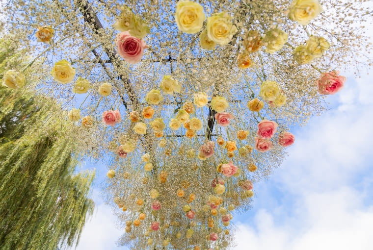 Święto róż Święto róż