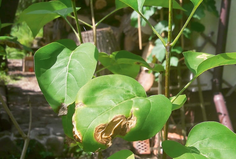 IGp{oqk1kw U/UpeEc{m:O;gVZ4HnMVz58]7V_WH!z}&Wg@#?Qm0SpcHa3izm&s}@OlhADZl:G9kADt|.mW5Z[Q1u^c=BC=[Ww=pwSNwm_Ce_kMNmp9ycIvmld