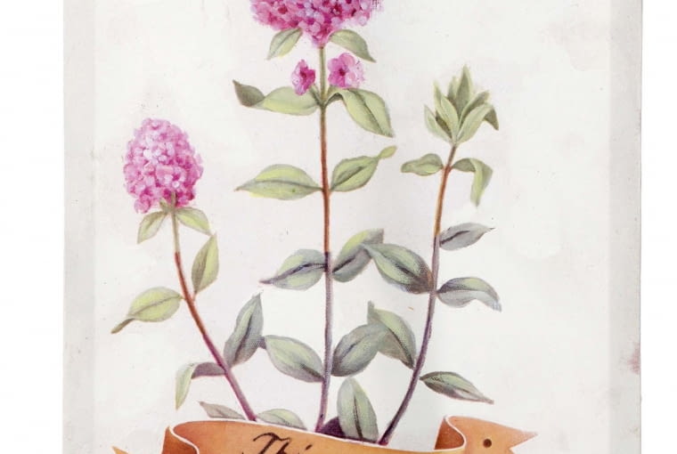 W stylu tego wnętrza: Obraz, 30 x 40 cm, 82 zł, house2home.pl