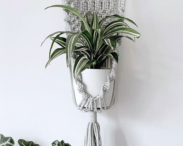 W makramie, czyli doniczka w wiszącym kwietniku, 130 zł W makramie, czyli doniczka w wiszącym kwietniku, 130 zł