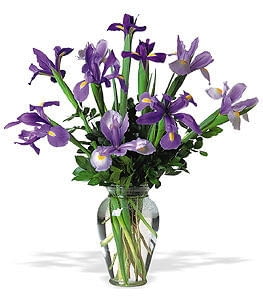 6475528 https bi