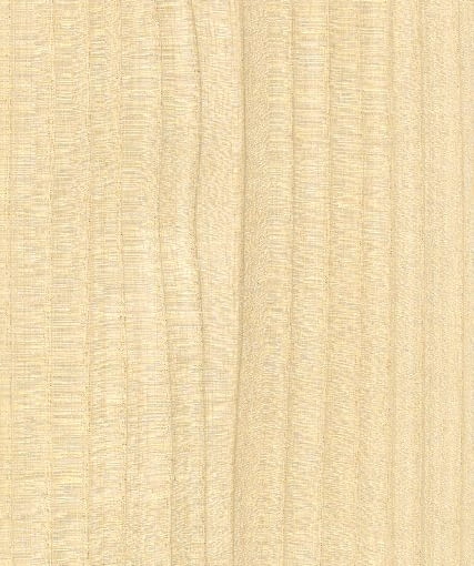 Jesion (drewno przed obróbką termiczną) Jesion (drewno przed obróbką termiczną)