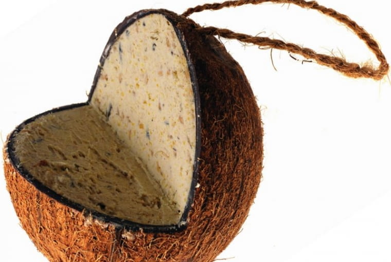 Kokos ze specjalną mieszanką pokarmu dla ptaków Kokos ze specjalną mieszanką pokarmu dla ptaków