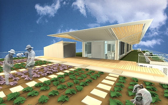 Fot. knafoklimor.co.il