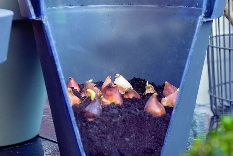 k9I @{Bqq> oQLZ\7kVj`;#m:#oNU+o";N_e%P:C_#5Y5ndjAH1:]7r[,`+g?~CI9/2?nm[o%{46GMA$j|M