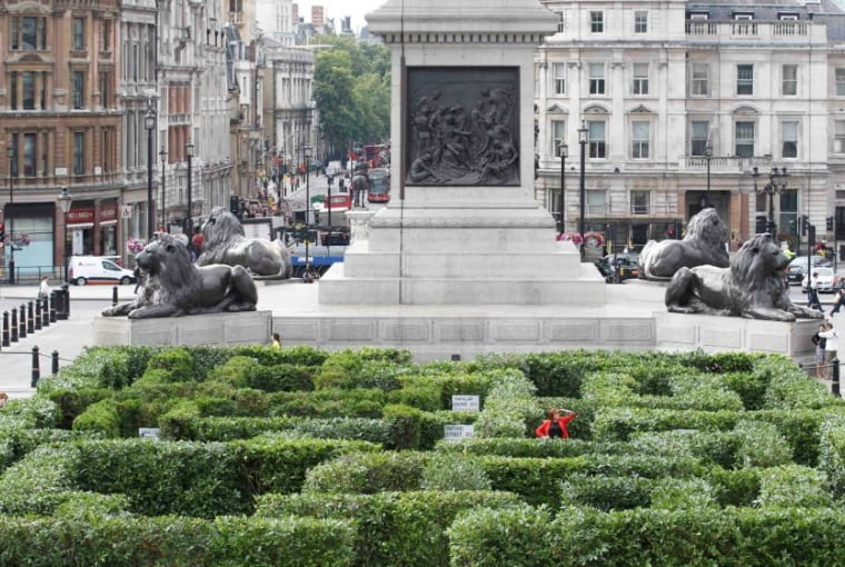 Zielony labirynt na Trafalgar Square w Londynie