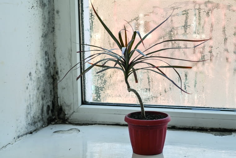 Właściwie zaplanowana, wykonana i użytkowana rekuperacja zapewnia wszystkim domownikom komfort, oszczędności i zdrowe środowisko przez cały czas jej działania