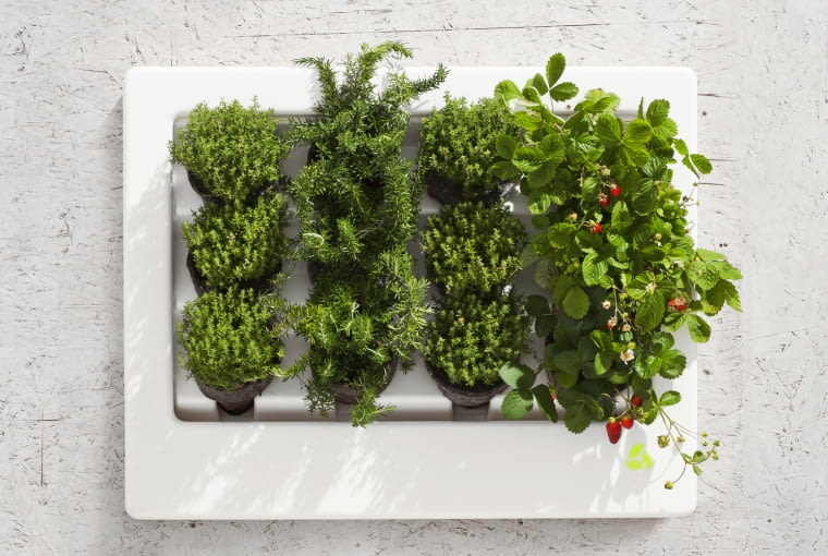 Wiszące ogrody w wersji mini zieleń, rośliny, technologia, ekologia, eko, design