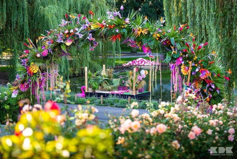 Rajski łuk Rajski łuk