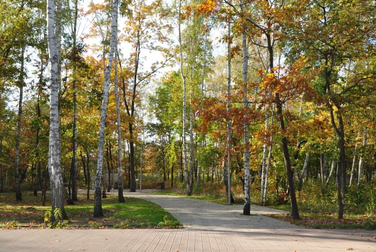 Park Niepodległości Park Niepodległości