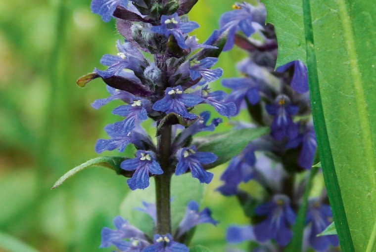 kJz~>MtfeUkGl\n,kY]Htrn#7Qw</)C)#$e>:8Jq[^_Ov0?TrgTammsdH#pm;~Ph x9[w%ZR=f`Kdk9ch%V>aGQ.B}[th{o