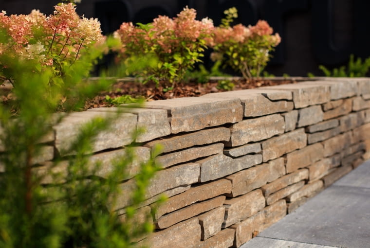 Murek Albero Murek Albero