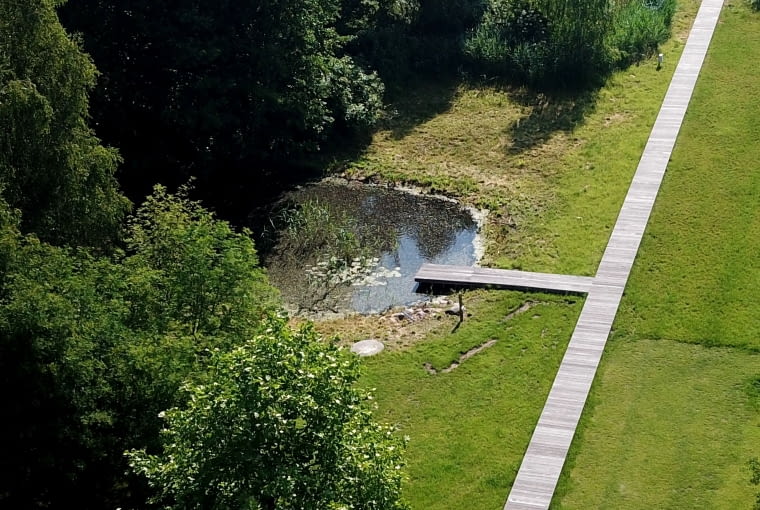 Line - Paweł Grobelny Line - Paweł Grobelny