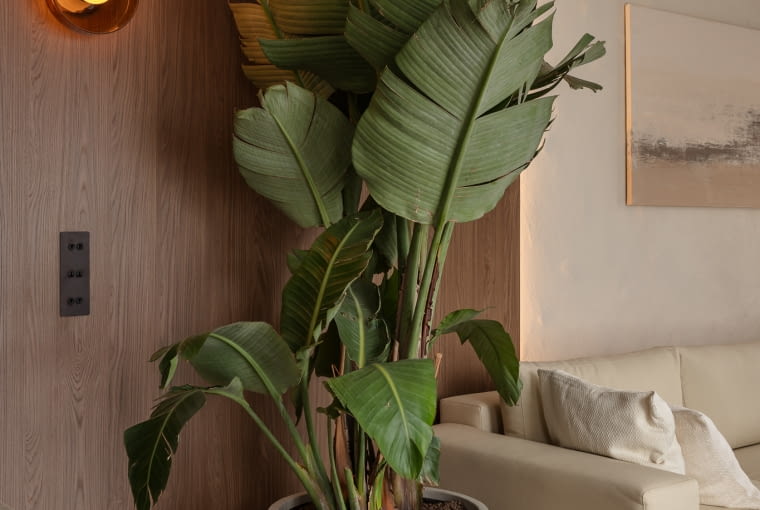 Mieszkanie w Krakowie. Proj. Polański Studio