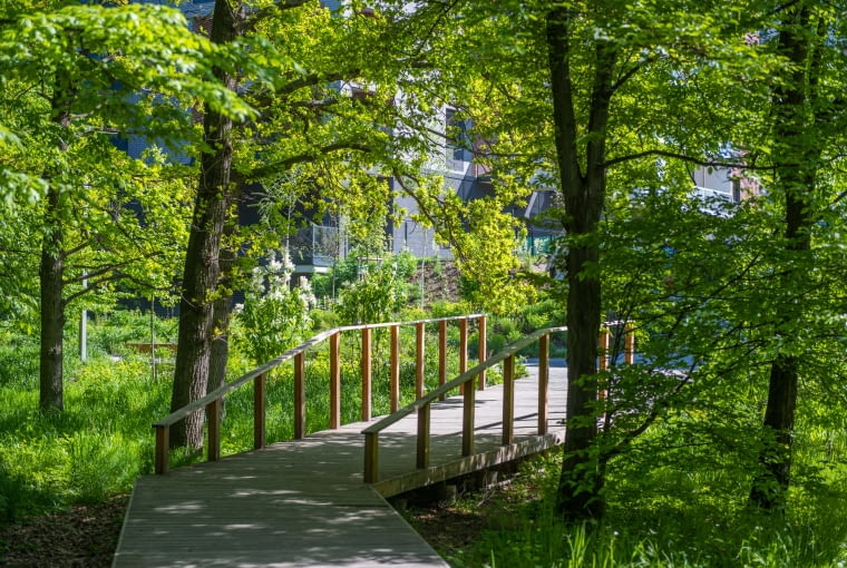 I miejsce: PoPoPark. Proj.  Leaf Project Studio Piotr Reda I miejsce: PoPoPark. Proj.  Leaf Project Studio Piotr Reda