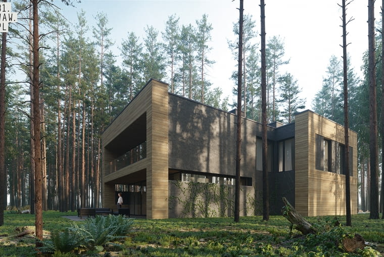 Dom Pień. Proj. 81.waw.pl Dom Pień. Proj. 81.waw.pl