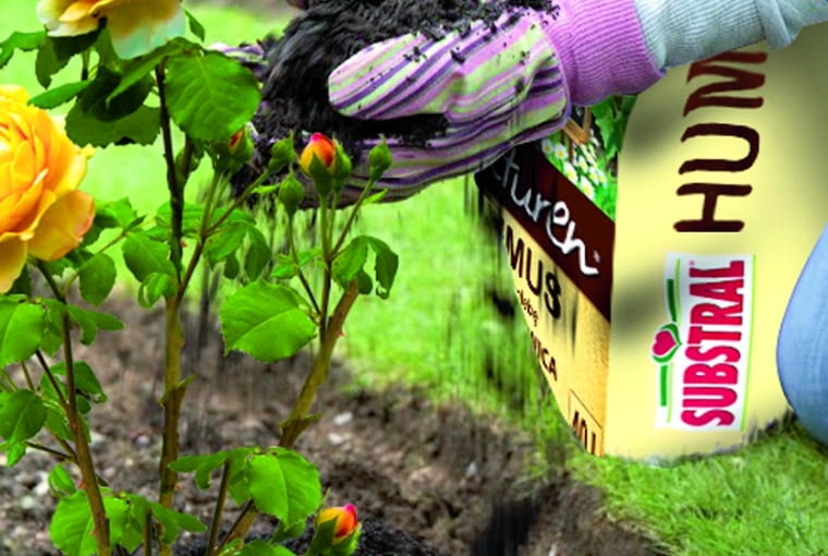 Ekologiczne preparaty z próchnicą.