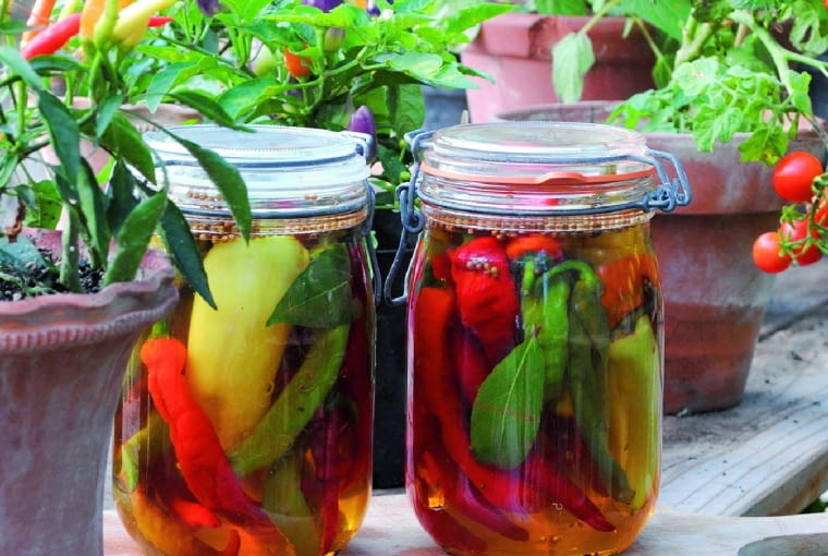 Doskonałe są też aromatyczne oleje z chili, czosnkiem, rozmarynem i bazylią (doprawiam nimi sałatki, pizzę i zupy kremy). Słoiki wypełniam pokrojonymi papryczkami. Wlewam mieszankę oliwy z oliwek i oleju słonecznikowego, tak aby owoce i zioła całkowicie się w niej zatopiły. Słoiki stawiam w słonecznym miejscu i przykrywam je czystą ściereczką. Po 2 tygodniach przelewam oleje przez drobne sito do ozdobnych buteleczek.