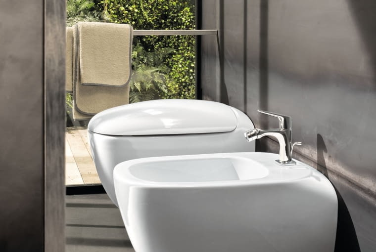 toaleta, miska sedesowa