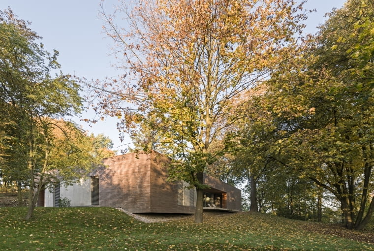 Dom wśród drzew Dom wśród drzew