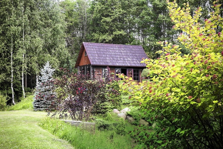 [ HRY DLA OGRODOW ] SLOWA KLUCZOWE: orzechowka