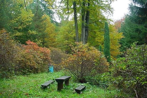 Arboretum w Lądku Zdrój Arboretum w Lądku Zdrój
