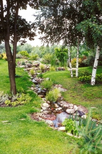 ...i rok później, po obsadzeniu roślinami wodnymi.