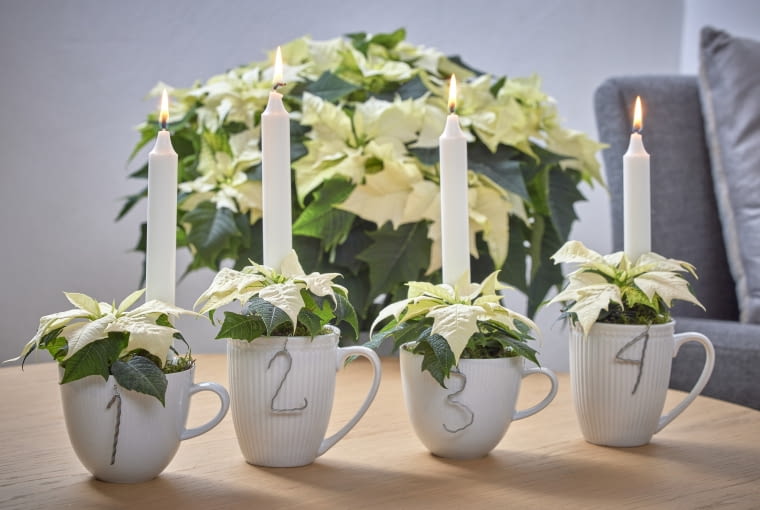 Alternatywne projekty adwentowe z kubkami i filiżankami z upcyklingu Alternatywne projekty adwentowe z kubkami i filiżankami z upcyklingu