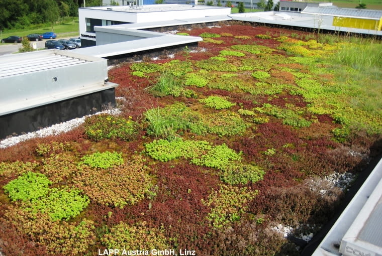 Przykład dachu balastowanego, tarasu/dachu zielonego (technologia: SealEco EPDM) Przykład dachu balastowanego, tarasu/dachu zielonego (technologia: SealEco EPDM)