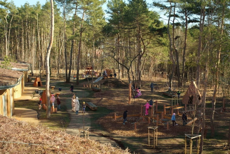 Bryłę przedszkola wpisano w istniejący drzewostan Bryłę przedszkola wpisano w istniejący drzewostan