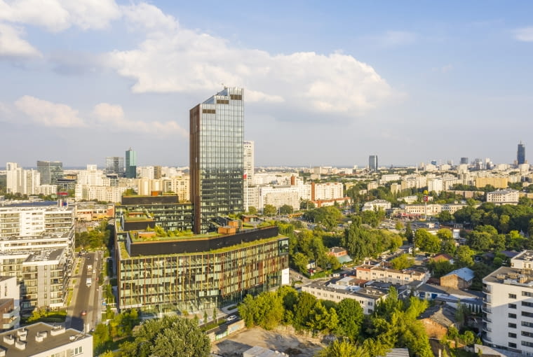 Zielony Taras Forest