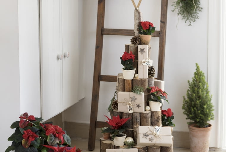 Dekoracja z gwiazdą betlejemską