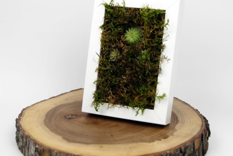 20 modnych dodatków do salonu [CENY]